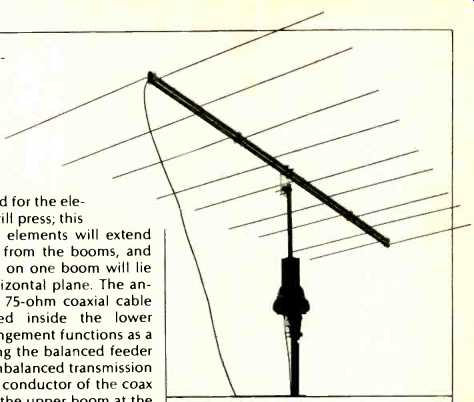 Construct an Indoor FM Antenna (Jan. 1981)